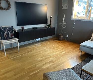 Roldal Appartement | Leilighet i 1 etg Røldal
