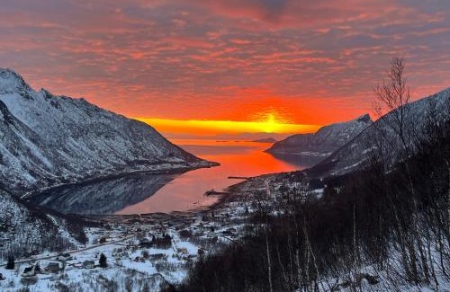 Torsken Appartement | Leilighet i rorbu på Kaldfarnes - Yttersia Senja