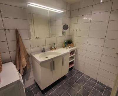 Al Municipality Appartement | Leilighet til leie på Synnfjellet