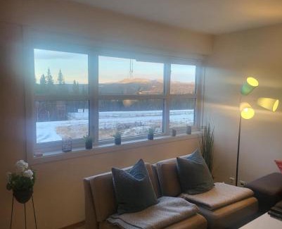 Al Municipality Appartement | Leilighet til leie på Synnfjellet