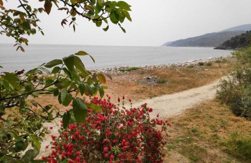 Zagora-Mouresi Maison | Lemongarden by the sea