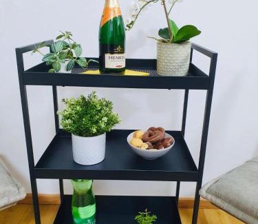 Traun Appartement | Leon 3 wunderschönes neues Apartment