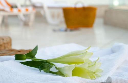 Neve Zohar Hôtel | Leonardo Club Hotel Dead Sea - All Inclusive