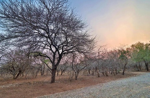 Marloth Park Appartement | Leopard Chalet