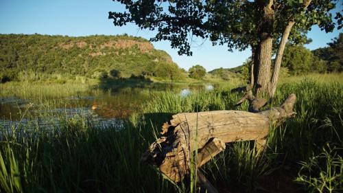 Vaalwater Cabine | Leopards Rock Bush Boutique