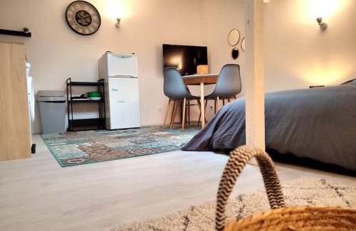 Epinal Appartement | Leopold Room 30m2 Hyper centre, Netflix & Wi-fi