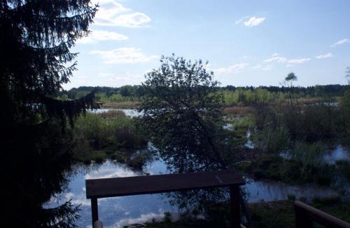 Laane-Viru County Autre | Lepakäbi metsamajakesed