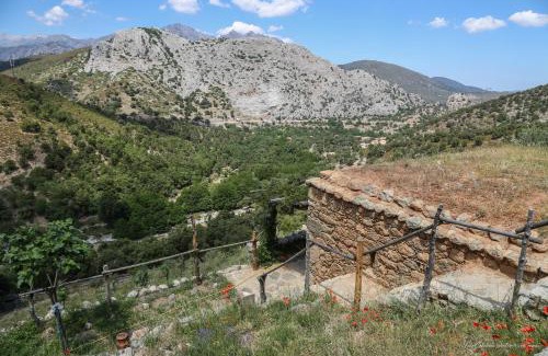Omessa Maison | Les Bergeries "Le figuier"
