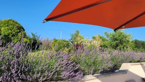 Salles Appartement | Les Bouges