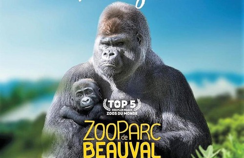 Fontguenand Maison | Les Bruyères de Jeanne et René Zoo de Beauval à 20min,Châteaux TOUT INCLUS