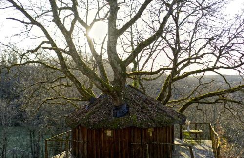 Pons Maison | Les Cabanes de Brassac