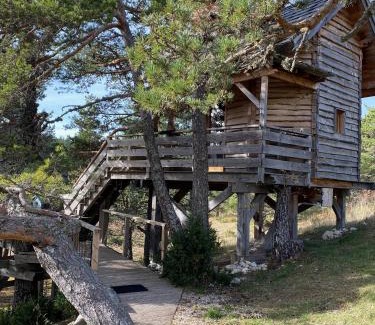 Caille Cabine | Les Cabanes de Maya