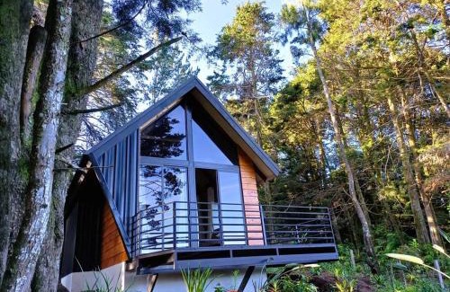 Cirri Sur Chalet De Ski | Les Chalets Costa Rica