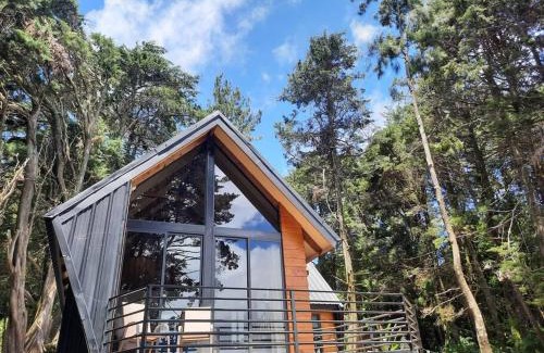 Cirri Sur Chalet De Ski | Les Chalets Costa Rica