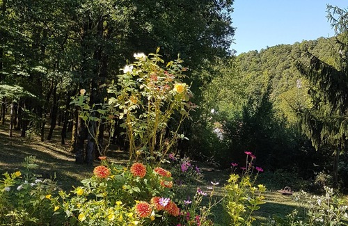 Bruniquel Maison | Les Cigalises, face au château de Bruniquel au cœur da la vallée de l'Aveyron