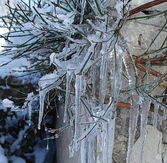 Serigny Maison | Les Coindries