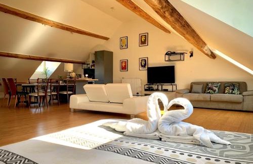 Besancon Old Town Appartement | Les Fabuleux appartements du Coeur de ville - Place Victor Hugo