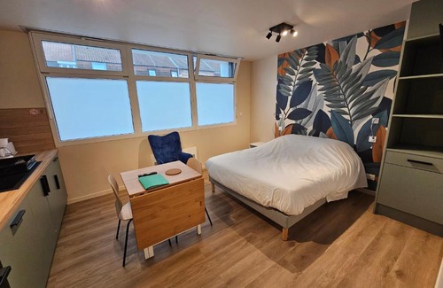 Saint-Amand-les-Eaux Appartement | Les Gîtes du Moulin des Loups