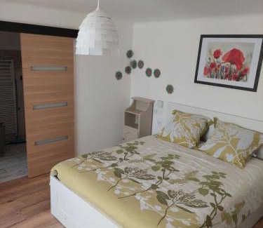 Laquenexy Maison | Les hirondelles