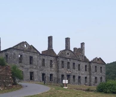 Mur-de-Bretagne Maison | Les hortensias de Stéfanick