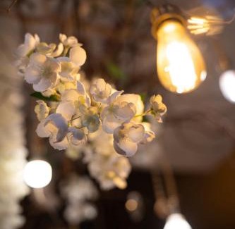 Ceron Lit Et Petit-Déjeuner | Les Jardins des Soussilanges