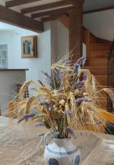 Sainte-Eulalie Maison | Les jardins du Canal