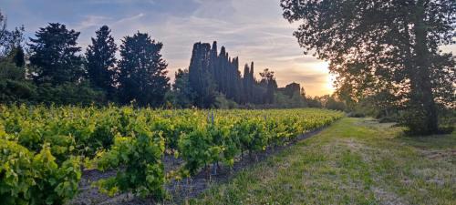 Sainte-Eulalie Maison | Les jardins du Canal