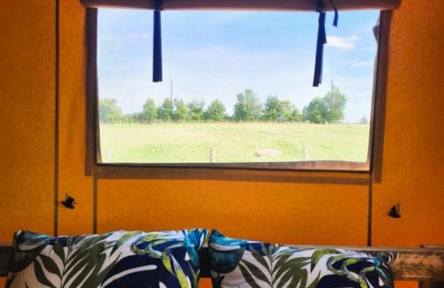 Vihiers Autre | Les lodges de Baca