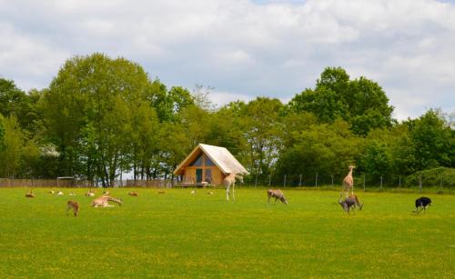Le Vigen Cabine | Les Lodges Du Reynou
