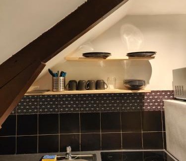 Provins Appartement | Les Lofts De Provins: Apt 8