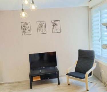 Thierville-sur-Meuse Appartement | Les loges de Véro - Rez-de-chaussée - Parking privé - Garage vélo et moto - LOGEMENT NEUF - 5 couchages - 2 chambres - 1 canapé convertible - WIFI - Climatisation - Géré par Presta-Zen'Services