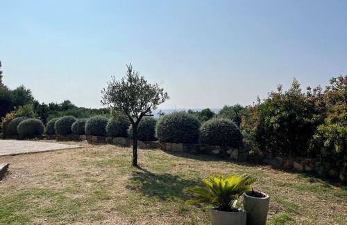 Centuri Appartement | Les Oliviers