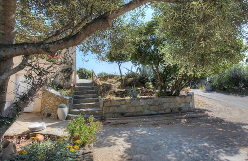 Centuri Appartement | Les Oliviers