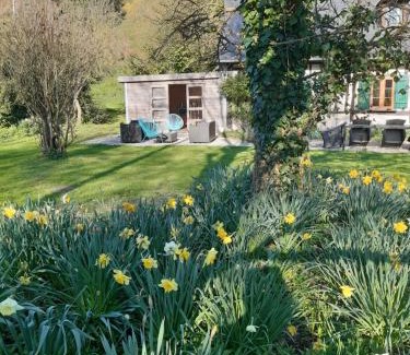 Touffreville-la-Corbeline Maison | les orchidees sauvages