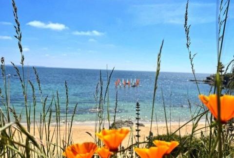 Clohars-Carnoet Appartement | Les Oyats, vue sur mer, parking, GR34