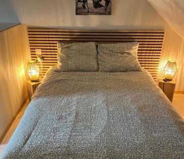 Montbronn Appartement | Les pampas