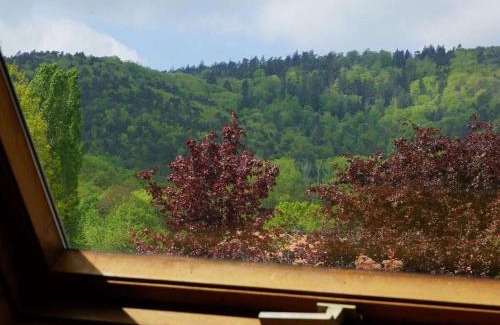 Cleebourg Maison | Les Petits Vignerons