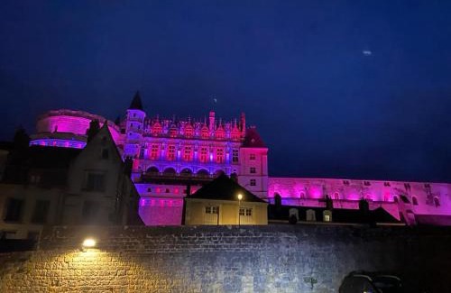 Amboise Appartement | Les pieds dans le Château - Jacuzzi