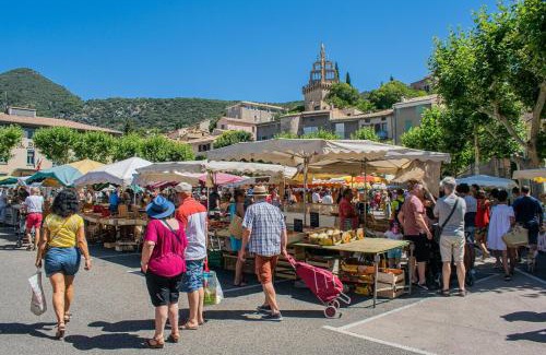 Nyons Appartement | Les Platanes
