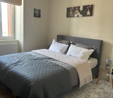 Marcillac-la-Croisille Appartement | Les Ramandes Appartements au cœur du village