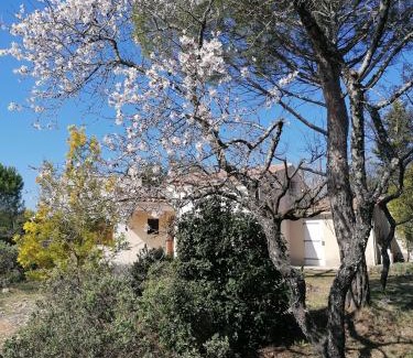 Saint-Jean-de-Minervois Maison | Les romarins