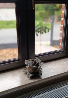 Beloeil Maison | Les roses d'Olga