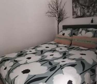 Libramont-Chevigny Appartement | Les studios du Domaine d'Eva
