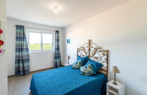 Tallone Appartement | Les Terres Rouges