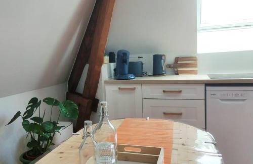 Ep 21 - Saint-Paul Appartement | les Tilleuls Grand 2 pièces, super équipé, 2 pas du centre-ville "clos-du-boulanger" - parking privé