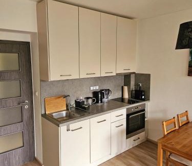 Hamry Appartement | Lesní apartmán Hamry
