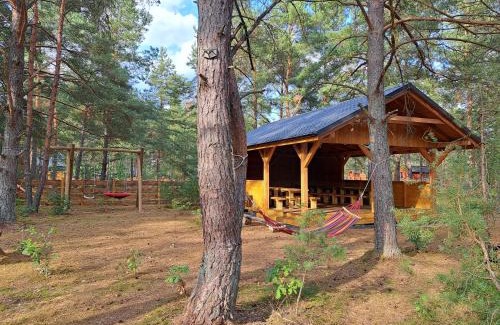 gmina Karsin Maison | Lesne Runo Borsk