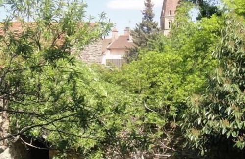 Cluny Maison | Lespalier - CLUNY - Gîte