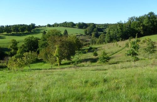 Solignac Maison | Leygat