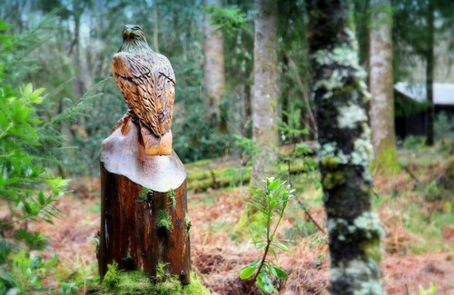 Taynuilt Cabine | LIEVER est une charmante cabane en rondins dans une belle forêt près du Loch Awe